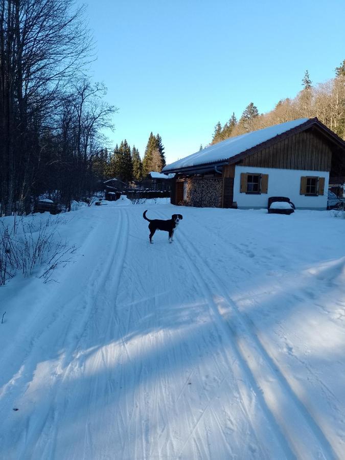 Huettenzauber Ferienwohnung Mitten Im Nationalpark Линдберг Экстерьер фото