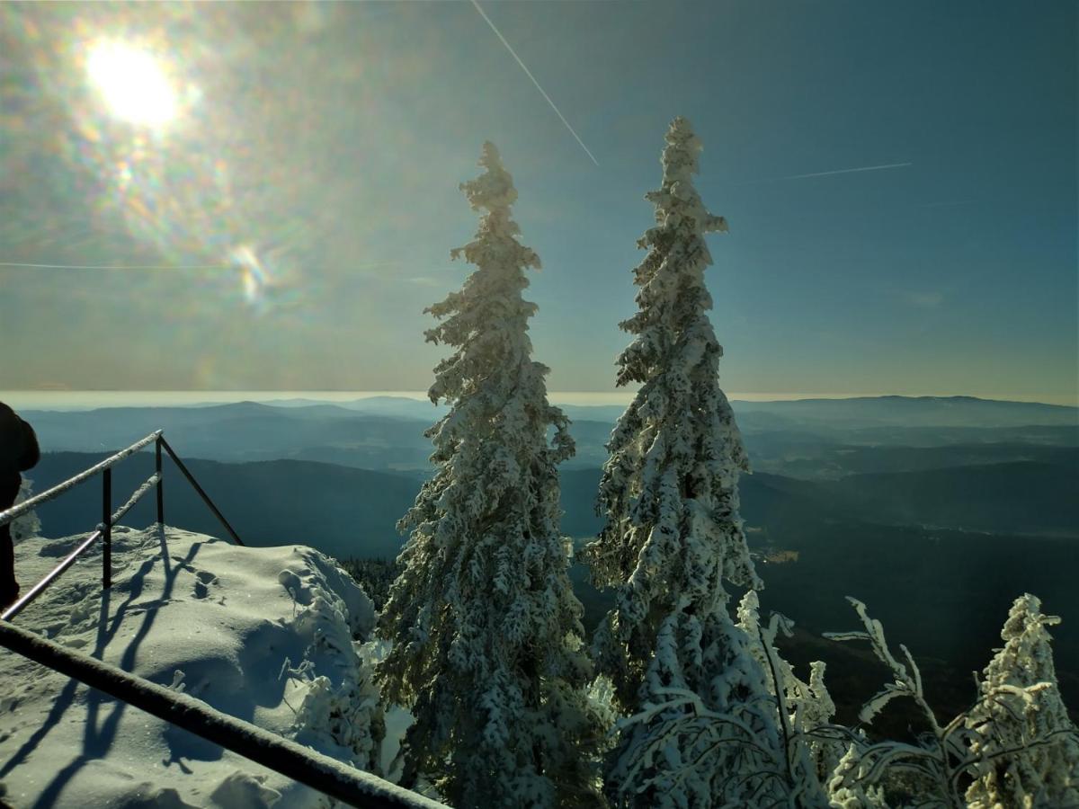 Huettenzauber Ferienwohnung Mitten Im Nationalpark Линдберг Экстерьер фото
