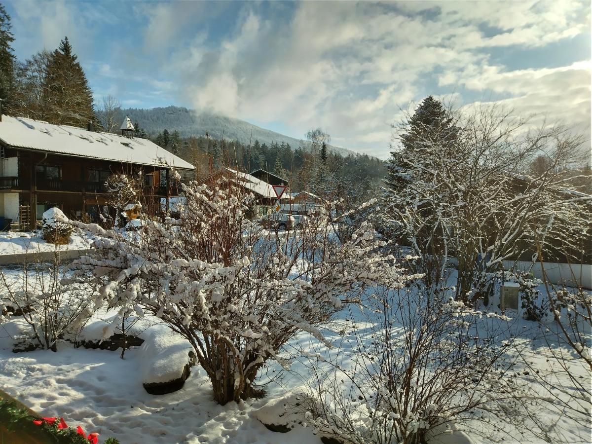 Huettenzauber Ferienwohnung Mitten Im Nationalpark Линдберг Экстерьер фото